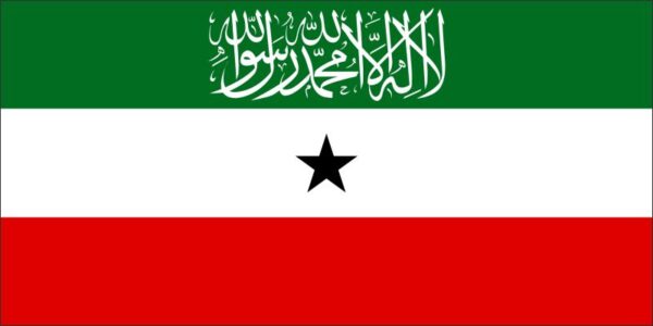 Pryskyřičná magnetka - vlajka Republika Somaliland