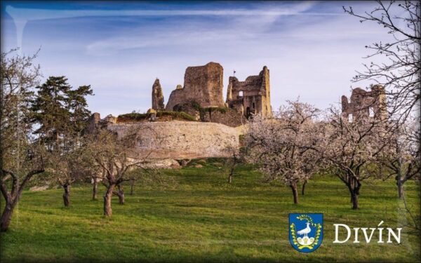 Pryskyřičná magnetka - Hrad Divín V.